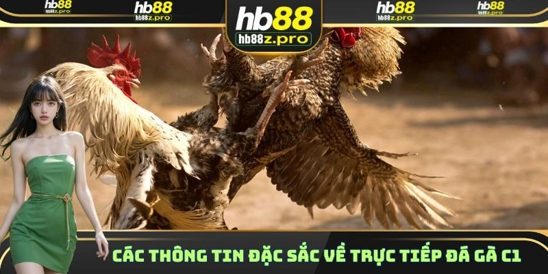 Các thông tin đặc sắc về trực tiếp đá gà C1