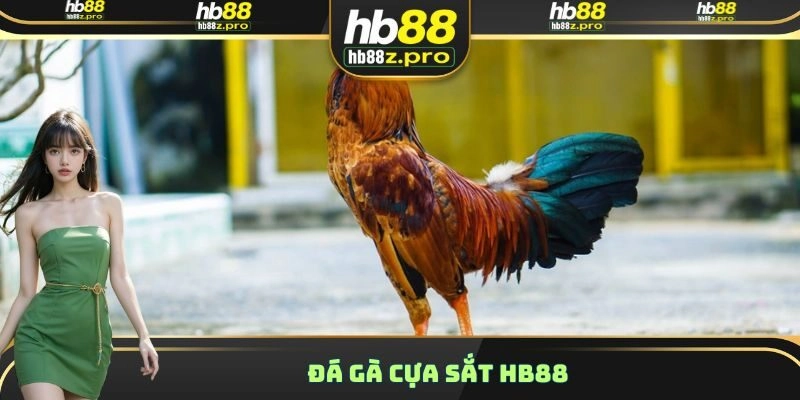 Đá Gà Cựa Sắt HB88 – Đa Dạng Loại Vũ Khí Có Thể Trang Bị