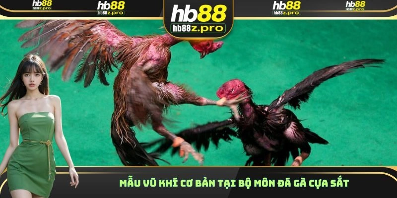 Mẫu vũ khí cơ bản tại bộ môn đá gà cựa sắt