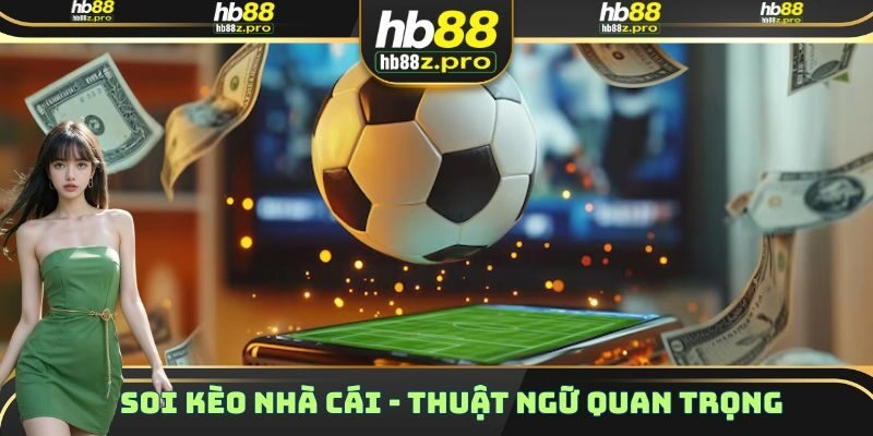 Soi Kèo Nhà Cái – Thuật Ngữ Quan Trọng Mà Tân Thủ Cần Biết